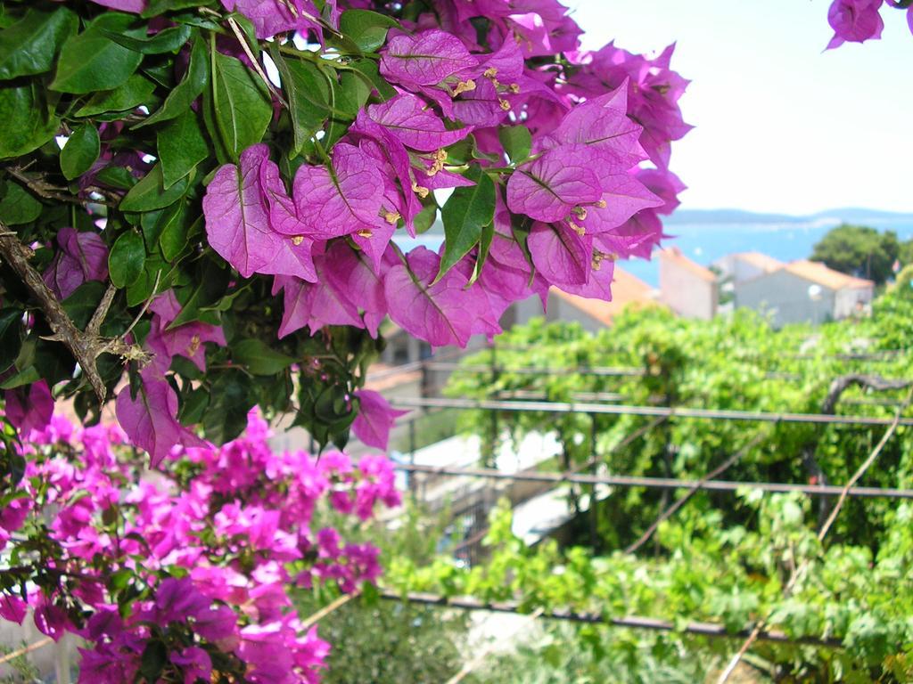 Cozy New Flat For 2 Or 3 Apartment Hvar Town Exterior photo